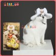 画像1: モンスターハンターワイルズ Monster Hunter Wilds アイルーの帽子 ペット用品 ペットウエア コスチューム コスプレ衣装 (1)