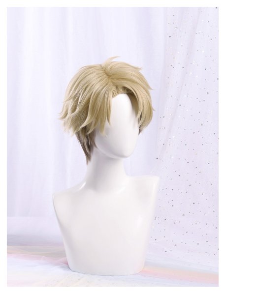 画像14: 【三分妄想】SPY×FAMILY スパイファミリー ロイド・フォージャー  黄昏  たそがれ  コスチューム コスプレ衣装/ウィッグ (14)