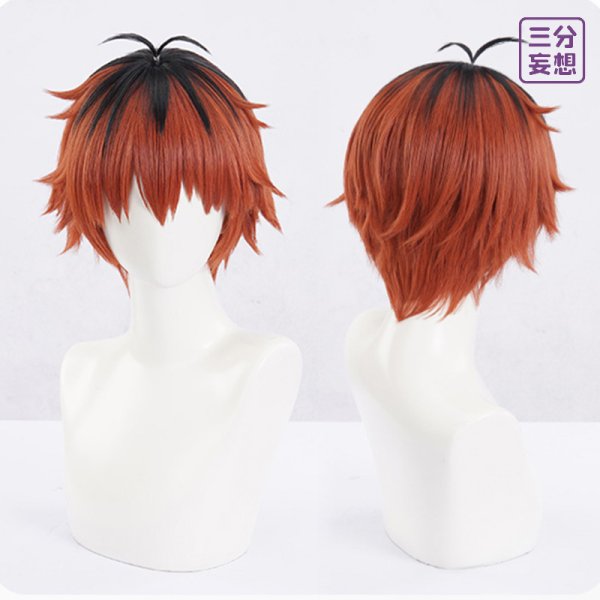 画像9: 【三分妄想】葬送のフリーレン シュタル  Stark コスプレ衣装/ウィッグ コスチューム (9)