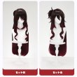 画像11: 【三分妄想】崩壊スターレイル HonkaiStarRail 停雲 帰忘の流離人 コスチューム コスプレ衣装/ウィッグ/靴 (11)