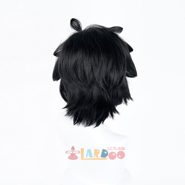 画像4: 羅小黒戦記 ロシャオヘイセンキ 羅小黒  ロシャオヘイ コスプレウィッグ ネット付き 耐熱かつら (4)