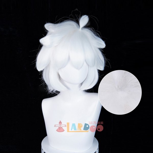 画像6: 羅小黒戦記 ロシャオヘイセンキ 羅小黒  ロシャオヘイ コスプレウィッグ ネット付き 耐熱かつら (6)