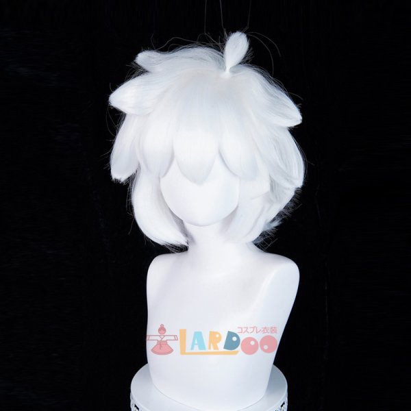 画像7: 羅小黒戦記 ロシャオヘイセンキ 羅小黒  ロシャオヘイ コスプレウィッグ ネット付き 耐熱かつら (7)