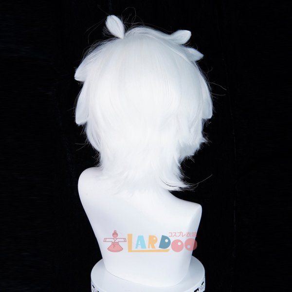 画像8: 羅小黒戦記 ロシャオヘイセンキ 羅小黒  ロシャオヘイ コスプレウィッグ ネット付き 耐熱かつら (8)