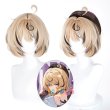 画像1: ゼンレスゾーンゼロ ゼンゼロ イドリー Yidhari コスプレウィッグ 未セット ネット付き 耐熱かつら (1)