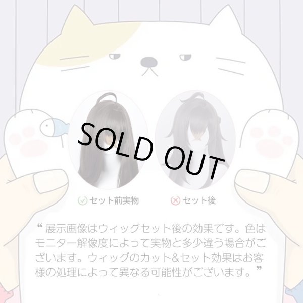 画像17: 崩壊:スターレイル HonkaiStarRail  ペラ Pela コスチューム コスプレ衣装/ウィッグ/靴 (17)